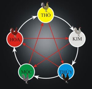 Coi Ngày Đá Gà Hôm Nay Theo Ngũ Hành Của Cao Thủ Mê Gà